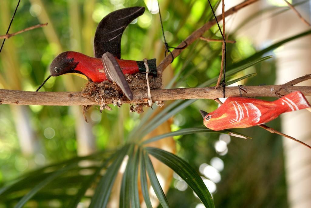 Pousada Do Beijaflor Florianópolis Εξωτερικό φωτογραφία